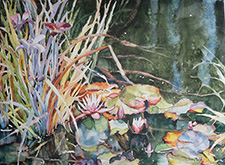 Water Lillies with Iris